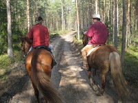 Scandinavian Horse Riding Vacation